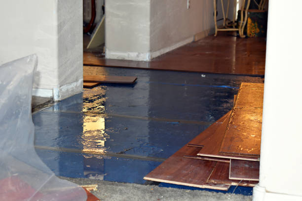 Professional Basement Flood Cleanup technician working in Mayville, MI