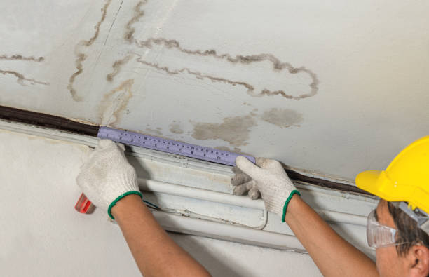 Reliable Basement Flood Cleanup contractor in Mayville, MI by Aqua Guard Water Damage